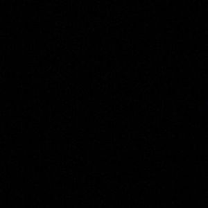 Meet your Posher, Elsie